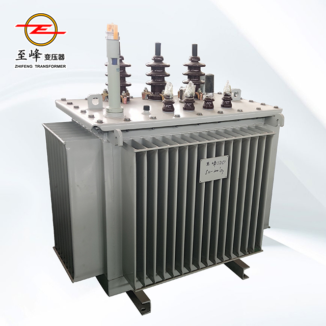 10kV Oil-immersed distribution transformers