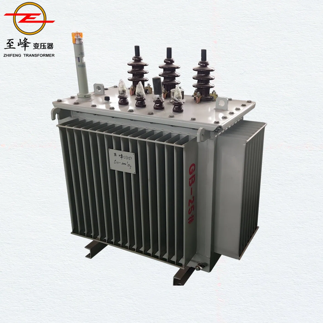 High Voltage 11kv 800kVA Oil-Immersed Transformer for Sale