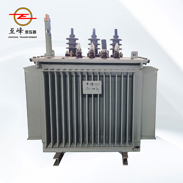 10kV Oil-immersed distribution transformers