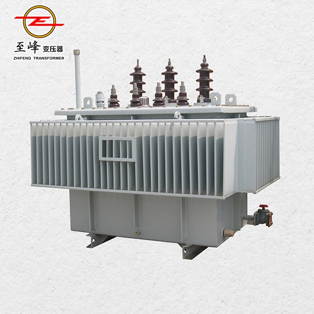 10kV Oil-immersed amorphous alloy transformers