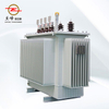 10kV Oil-immersed distribution transformers