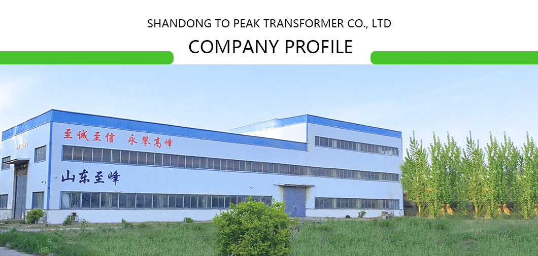 Company profile
