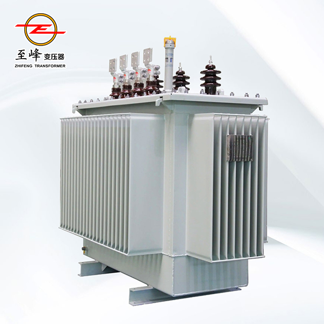 10kV Oil-immersed distribution transformers