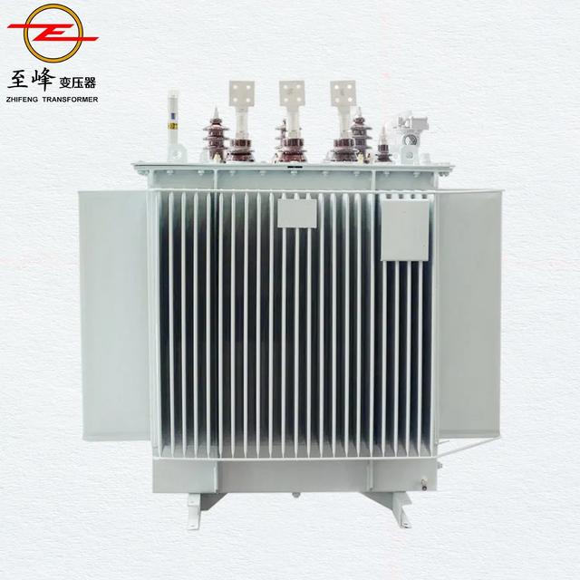 11kv 1600kVA Oil-Immersed High Voltage Distribution Transformer