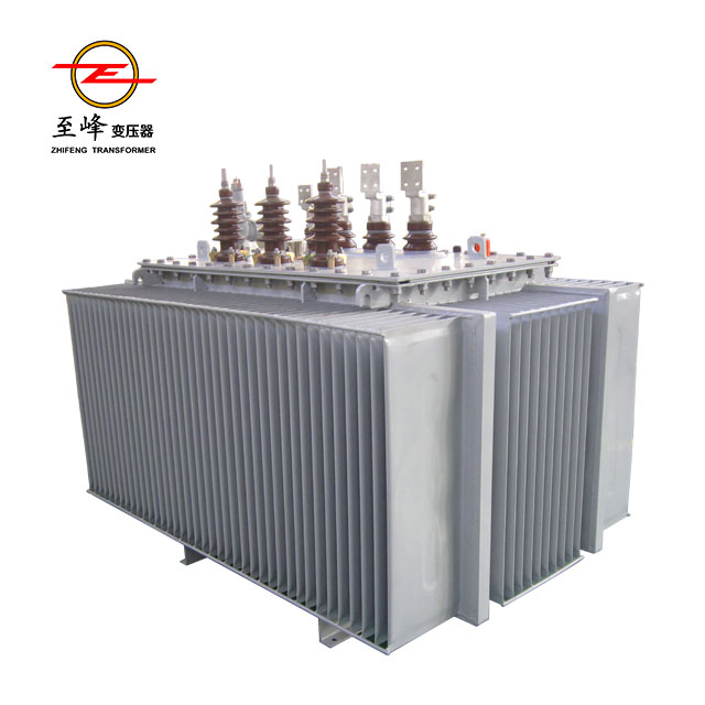 S1113 10KV20KV Oil-immersed Distribution Transformer